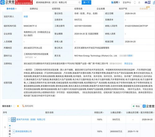 蔚來(lái)武漢布局新篇章 成立新能源科技公司，深化AI與軟件開發(fā)